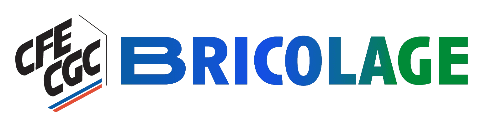 Logo Bricolage