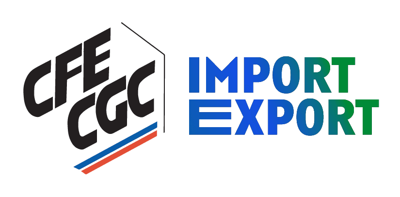 Logo Import-Export